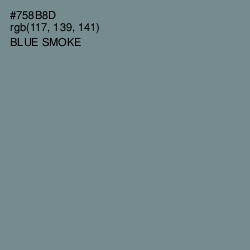 #758B8D - Blue Smoke Color Image
